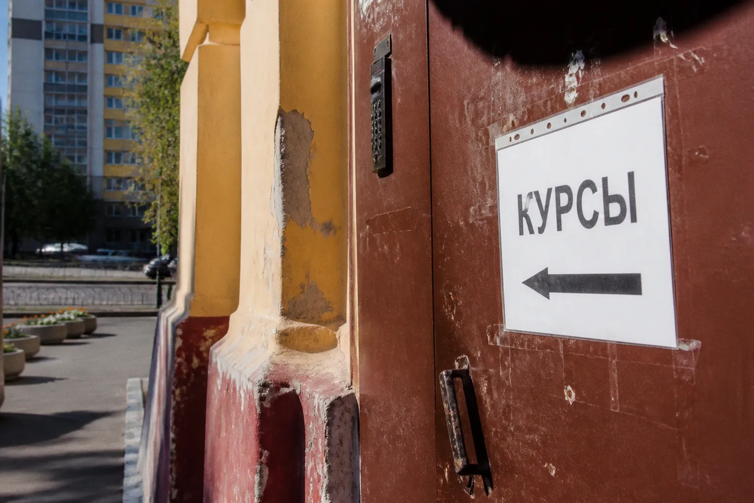 Рынок курсов по нейросетям: почему трехкратный рост школ скрывает падение качества